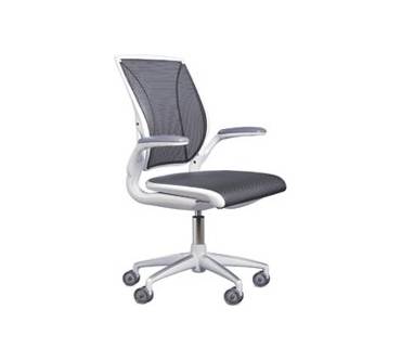 Produktbild Humanscale Diffrient World Chair