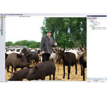 Produktbild Schäfer Heinrichs Bauernhof Simulator (für PC)