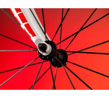 Produktbild vitus Bikes Dark Plasma VR (2011)