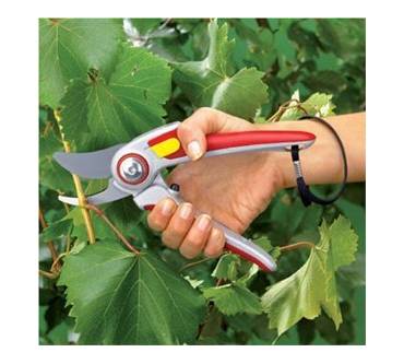Produktbild Wolf-Garten Gartenschere RR 5000