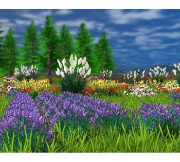 Produktbild Wildlife Park 3 (für PC)