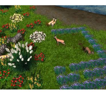 Produktbild Wildlife Park 3 (für PC)