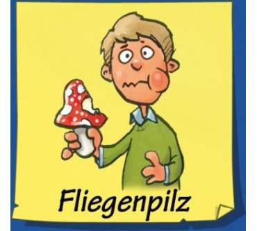 Produktbild Schmidt Spiele Eselsbrücke