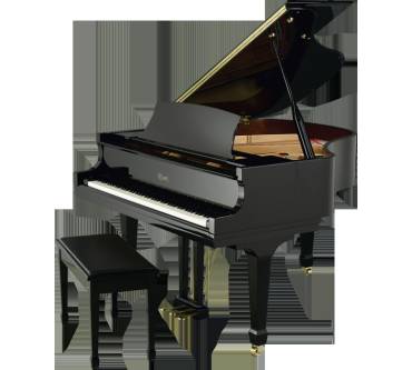 Produktbild Pearl River Essex EGP-173C