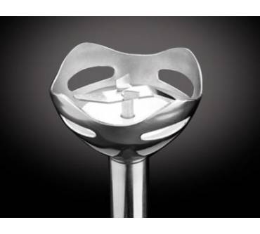 Produktbild Russell Hobbs Desire Stabmixer