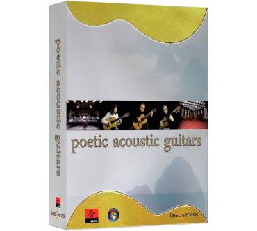 Produktbild Best Service Poetic Acoustic Guitars