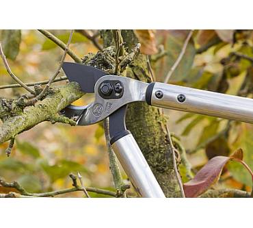 Produktbild Original Löwe Astschere 22.080