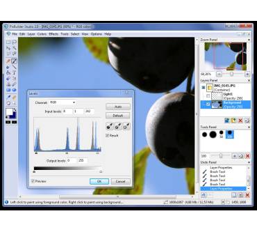 Produktbild Wnsoft Inc. PixBuilder Studio 2.0.2