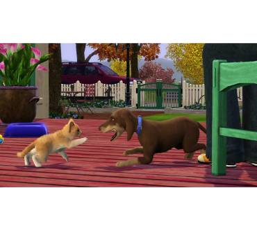 Produktbild Die Sims 3: Einfach tierisch