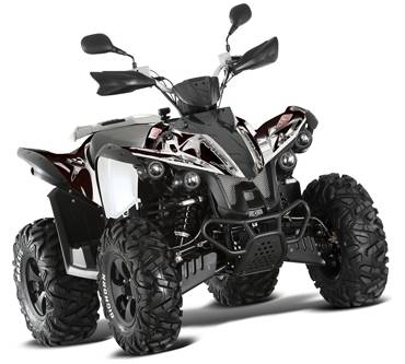 Produktbild TGB Target 550 4x4 IRS (28 kW)