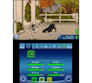 Produktbild Die Sims 3: Einfach tierisch (für 3DS)