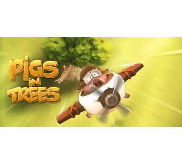 Produktbild PAN Vision Pigs in Trees