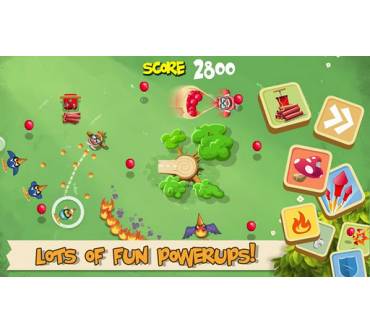 Produktbild PAN Vision Pigs in Trees