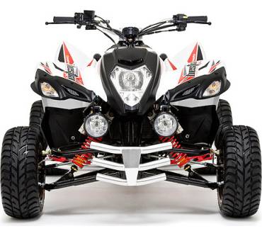 Produktbild Beeline Bestia 5.5 Supermoto (36 kW)