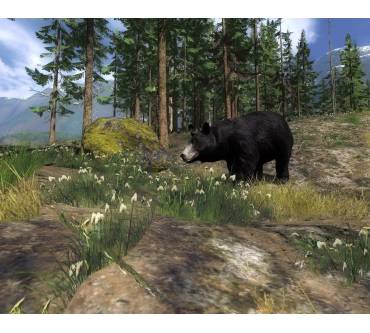 Produktbild The Hunter 2012 (für PC)