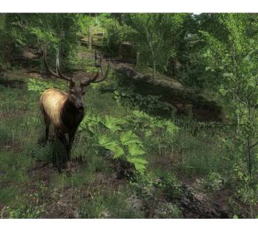 Produktbild The Hunter 2012 (für PC)
