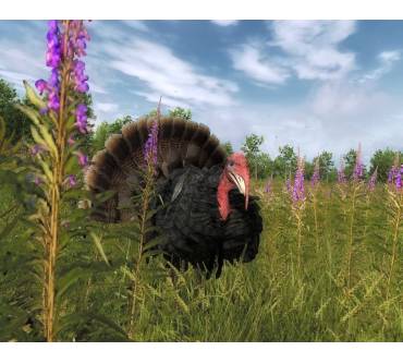 Produktbild The Hunter 2012 (für PC)