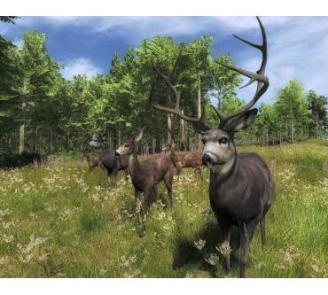 Produktbild The Hunter 2012 (für PC)