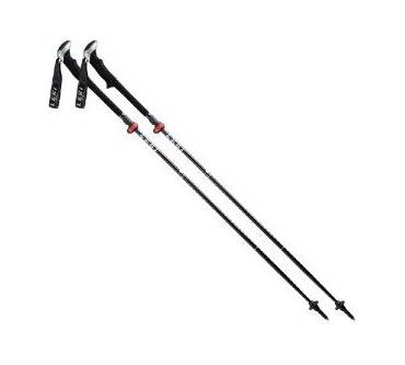 Produktbild Leki Micro Stick