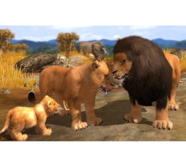 Produktbild Wildlife Park 3 (für PC)