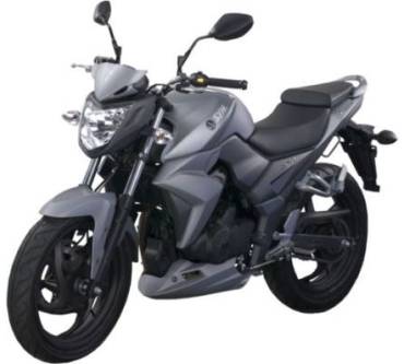 Produktbild SYM Wolf SB250Ni (19 kW) [12]