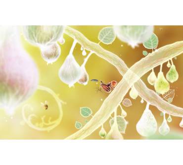 Produktbild Botanicula