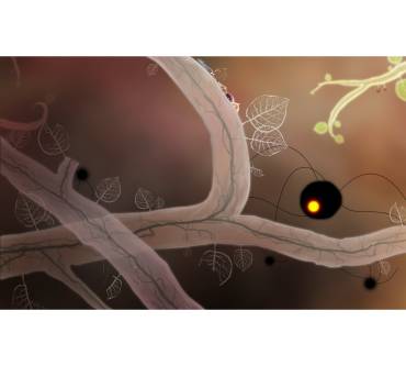 Produktbild Botanicula
