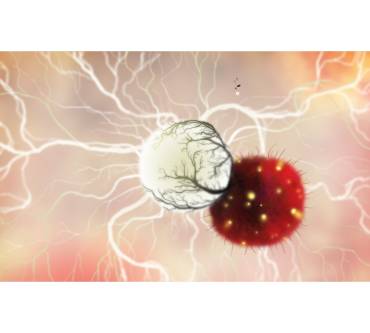 Produktbild Botanicula