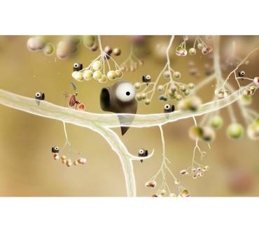 Produktbild Botanicula