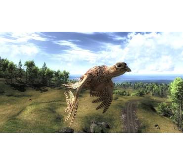 Produktbild The Hunter 2013 (für PC)