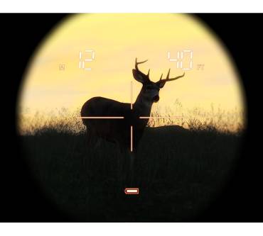 Produktbild The Hunter 2013 (für PC)