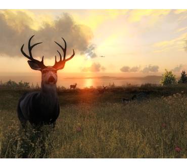 Produktbild The Hunter 2013 (für PC)