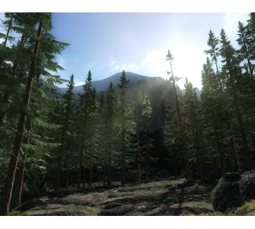 Produktbild The Hunter 2013 (für PC)