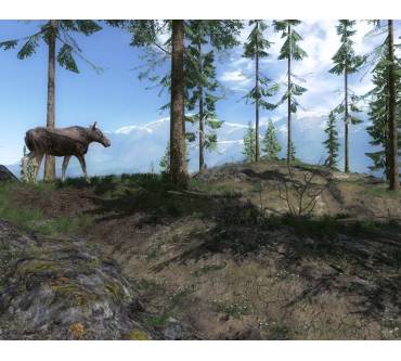 Produktbild The Hunter 2013 (für PC)