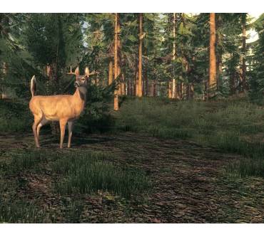 Produktbild The Hunter 2013 (für PC)