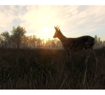 Produktbild The Hunter 2013 (für PC)