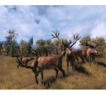 Produktbild The Hunter 2013 (für PC)