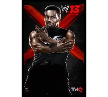 Produktbild WWE '13
