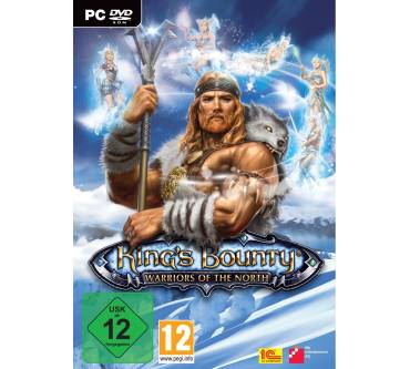 Produktbild King's Bounty: Warriors of the North (PC)