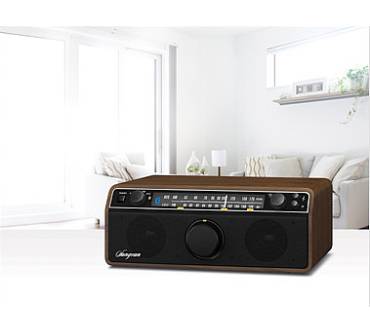 Produktbild Sangean WR-12BT