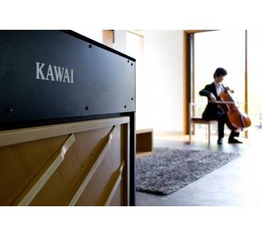 Produktbild Kawai CA95
