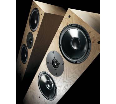 Produktbild Living Voice Avatar IBX-R2