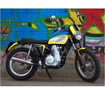 Produktbild Borile B450 Scrambler (32 kW) [13]