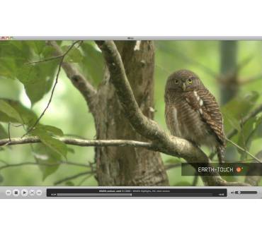 Produktbild Participatory Culture Foundation Miro 6.0