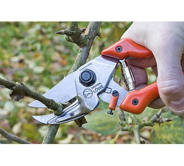 Produktbild Original Löwe 8.107