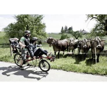 Produktbild Hase Bikes Pino Porter (Modell 2013)