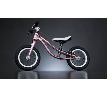 Produktbild Mores Petitpierre