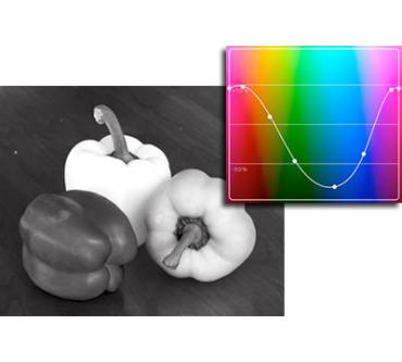 Produktbild Grubba Software TrueGrain