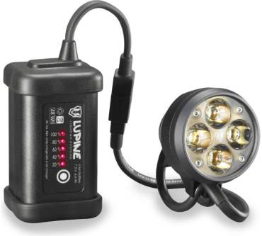 Produktbild Lupine Wilma 7