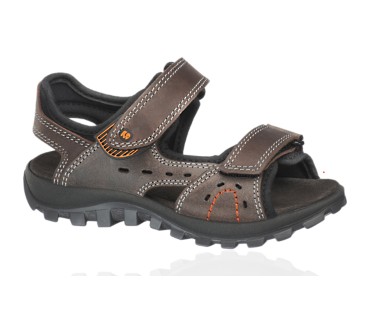 Produktbild Elefanten Falcon Fausto